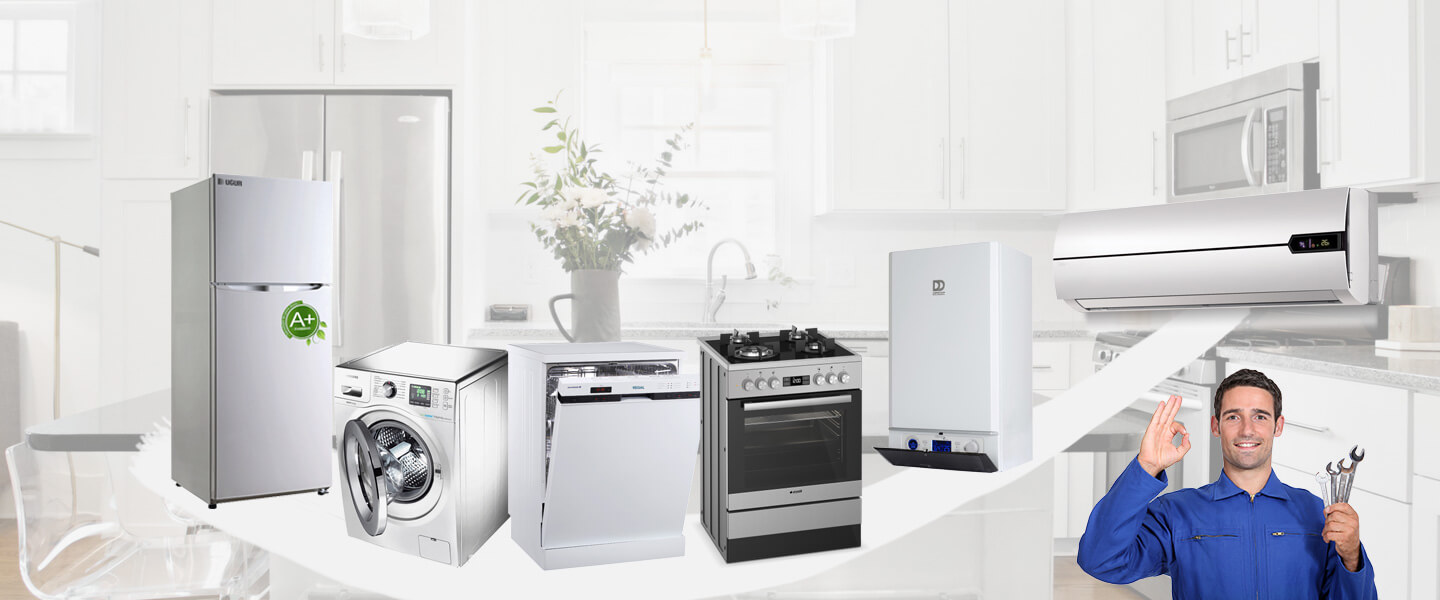 Sındırgı Dyson Servisi